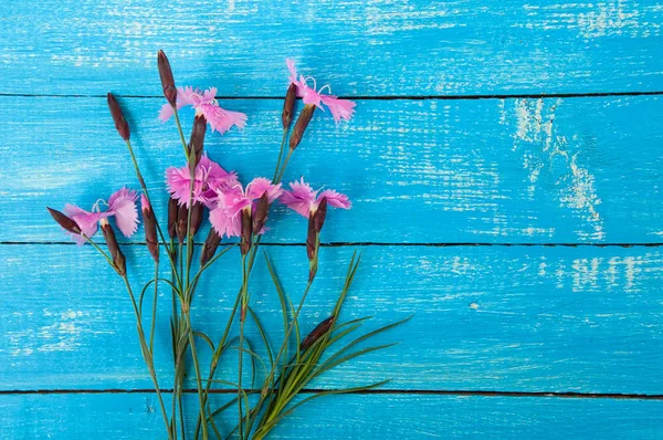 野花香石竹蓝色木制表面上的花束 — 图库照片