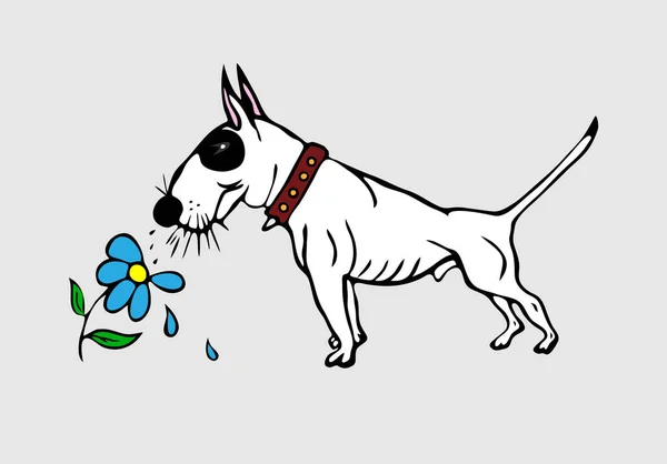 Pintado lindo blanco inglés Bull Terrier con un ojo negro — Vector de stock