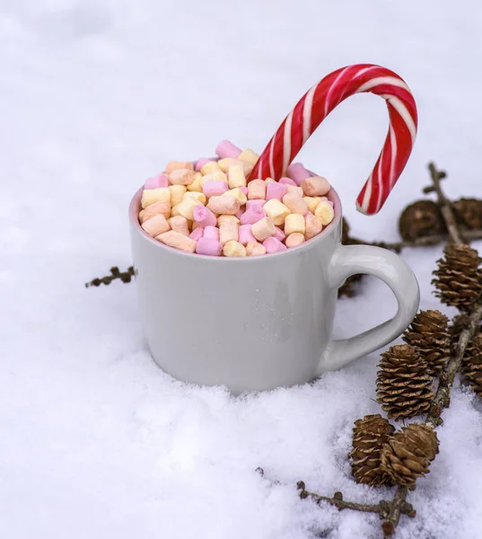 Graue Keramiktasse mit heißer Schokolade und Marshmallows — Stockfoto