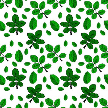 Yeşil gül yaprakları çizilmiş