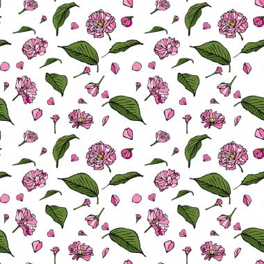 pembe sakura çiçek ve Yeşil broşürler