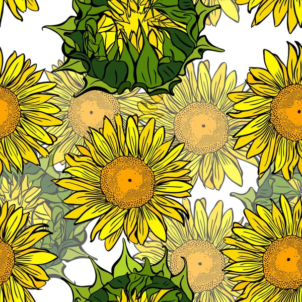 çiçek sarı ayçiçeği ve unblown yeşil çiçek tomurcukları 