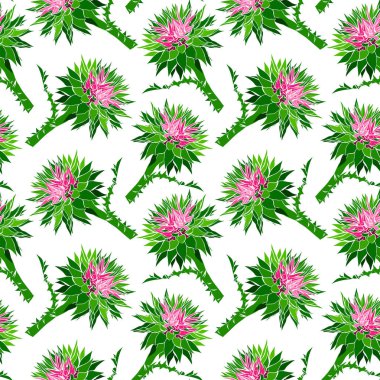 Yeşil sapı ile dikenli dulavratotu tomurcuğu