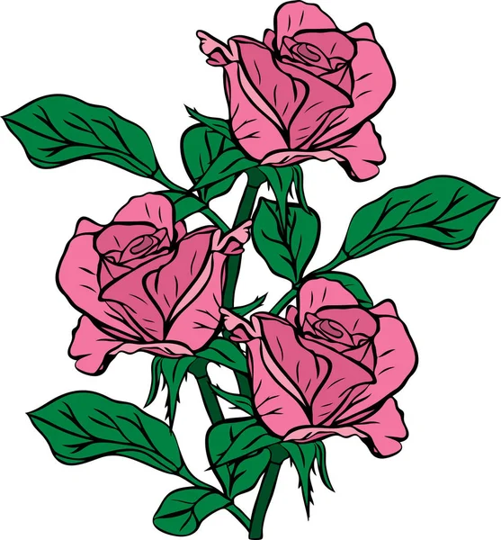 Букет из трех розовых роз, нарисованных вручную — стоковый вектор