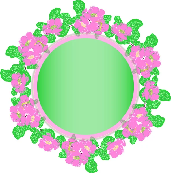 Krans van roze pioenrozen en groene bladeren in pastel kleuren, leeg — Stockvector