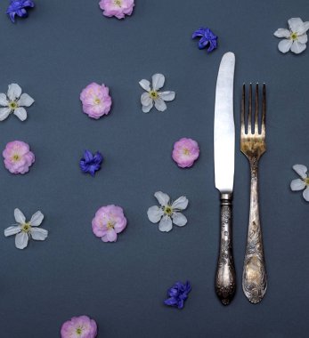 demir vintage çatal çatal ve bıçak 