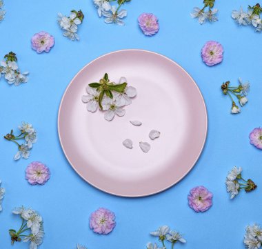 boş yuvarlak seramik pembe plaka ortasında mavi bir arka plan üzerinde