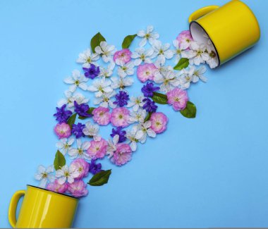 iki sarı seramik kupalar ve dağınık tomurcukları çiçek 