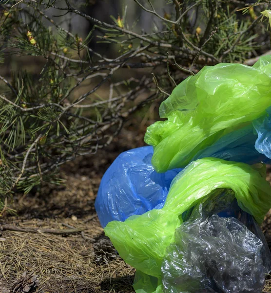 A pile of crumpled transparent empty plastic bags lies under a t — Stock Photo, Image