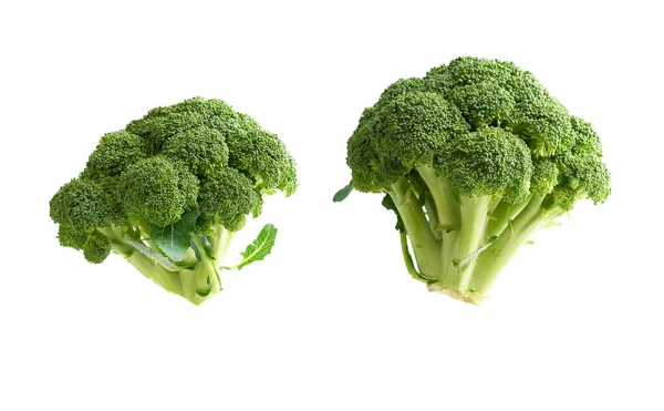 Segar hijau brokoli kubis terisolasi pada latar belakang putih — Stok Foto