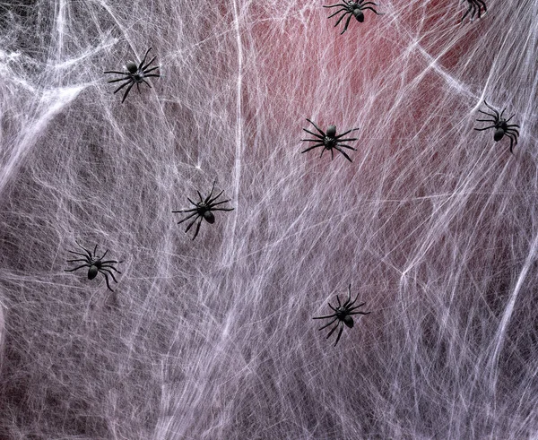Gespanntes weißes Netz mit roter Hintergrundbeleuchtung und schwarzen Spinnen — Stockfoto