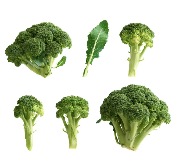 Satu set irisan dan seluruh hijau segar brokoli kubis terisolasi pada — Stok Foto