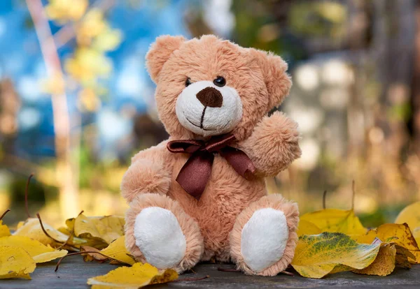 Kleine teddybeer zit te midden van droge gele bladeren in aut — Stockfoto