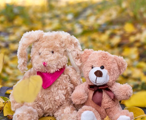 Konijntje met lange oren en een teddybeer zitten in het midden — Stockfoto