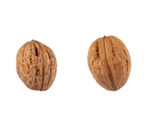 Två valnötter i en hård brun skal isolerad på en vit bakgrund — Stockfoto