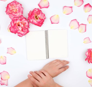 İki kadın el, temiz beyaz çarşaflarla açık not defteri tutuyor. 