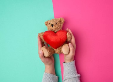 iki kadın elleri küçük bir oyuncak oyuncak ayı tutun 