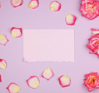 boş pembe kağıt levha ve pembe gül tomurcukları, şenlikli backgroun