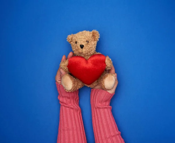 Две женские руки держат маленького игрушечного плюшевого медведя — стоковое фото