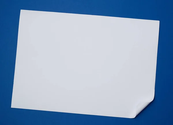 Blank white sheet of paper with a curled corner on a blue backgr — 图库照片