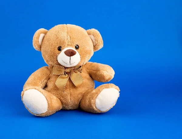 Mignon petit ours en peluche brun, espace de copie — Photo