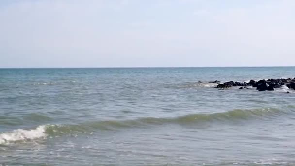 Bandada Delfines Nadar Distancia Mar Negro Ucrania Pueblo Puerto Hierro — Vídeo de stock