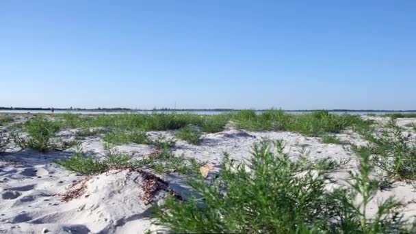 Costa Arenosa Del Mar Negro Cerca Del Pueblo Lazurnoe Hierba — Vídeos de Stock