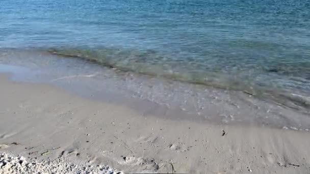 夏天的一天 黑海的波浪在沙滩上飞溅 — 图库视频影像
