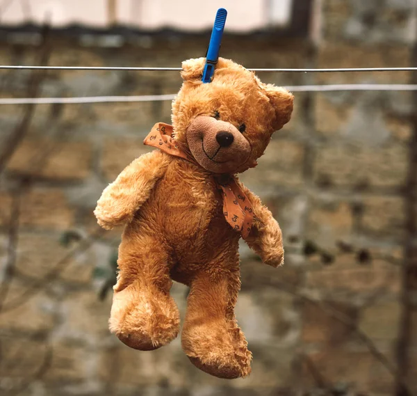 Schattig bruin nat teddybeer opknoping op een waslijn en drogen — Stockfoto