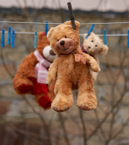 Schattig bruin nat teddybeer opknoping op een waslijn en drogen — Stockfoto