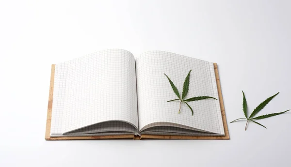 Caderno aberto com folhas brancas em branco e folha de cânhamo verde — Fotografia de Stock