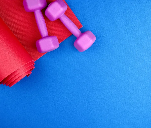 Paar paarse plastic halters en blauwe neopreen mat — Stockfoto
