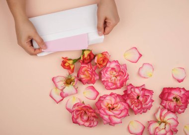 two female hands are holding a white paper envelope in the middl