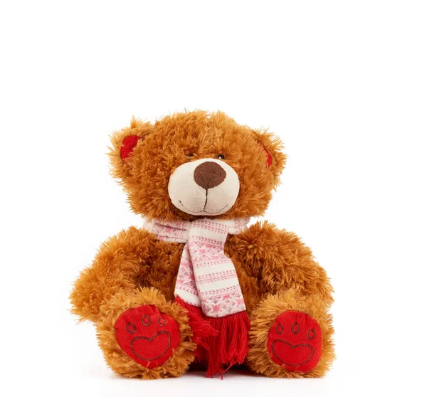 Cute brown teddy bear in a colored knitted scarf sitting on a wh — Stock Photo, Image