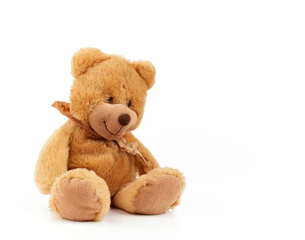 Cute light brown fluffy teddy bear with a tie on his neck sittin — Stock Photo, Image