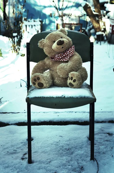 Grote teddybeer zit op een oude stoel midden in de sneeuw — Stockfoto