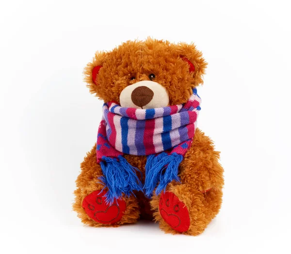 Lindo oso de peluche marrón en una bufanda de punto de color sentado en un wh — Foto de Stock