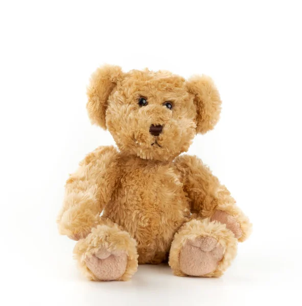 Niedliche hellbraune flauschige Teddybär sitzt auf einem weißen isolierten b — Stockfoto