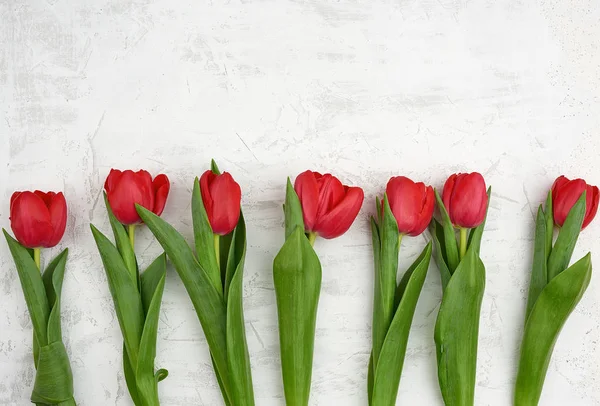 Ramo de tulipanes rojos florecientes con tallos y hojas verdes — Foto de Stock