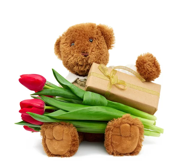 Brauner Teddybär sitzt auf einem isolierten weißen Hintergrund und hält — Stockfoto