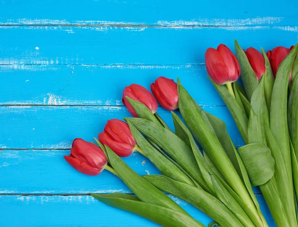 Ramo de tulipanes rojos florecientes con tallos y hojas verdes — Foto de Stock