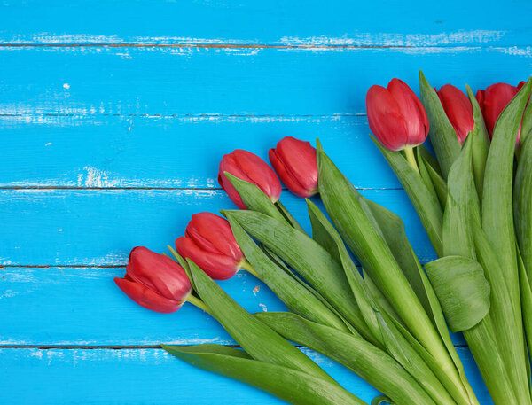 букет красных цветущих тюльпанов с зелеными стеблями и листьями
