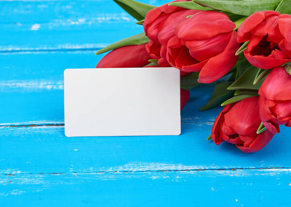 букет красных цветущих тюльпанов с зелеными стеблями и листьями, поток
