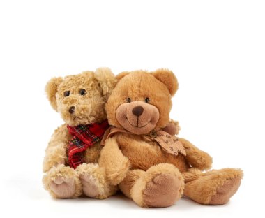 İki sevimli kıvırcık oyuncak ayı, destek ve arkadaşlık kavramı, beyaz arka planda izole edilmiş oyuncaklar.