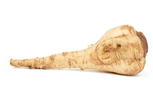 Large Parsnip Root Isolated White Background Healthy Tasty Vegetable — Stock Photo, Image