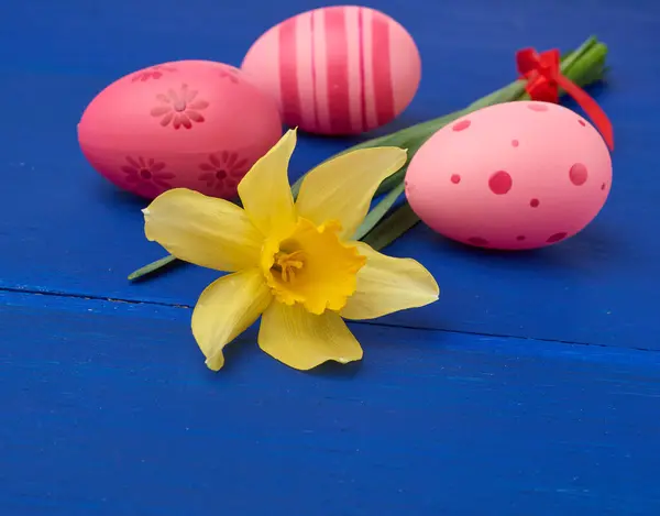 Jaune Fleur Jonquille Pâques Oeufs Roses Sur Fond Bois Bleu — Photo