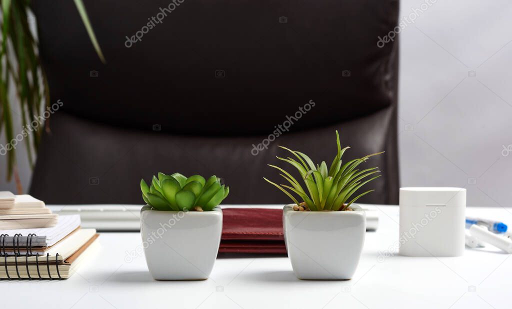 executive workplace, empty brown leather armchair, notepads on white table, flowerpots with green plants