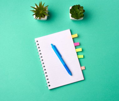 Beyaz boş çarşaflar ve saksı bitkisi ile birlikte açık bir defter, üst görünüm