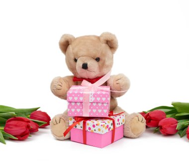 Şirin kahverengi ayıcık pençesinde bir buket kırmızı lale, hediye paketinin yanında, doğum günü arkaplanı, Sevgililer Günü, yıldönümü. beyaz arkaplanda izole edilmiş