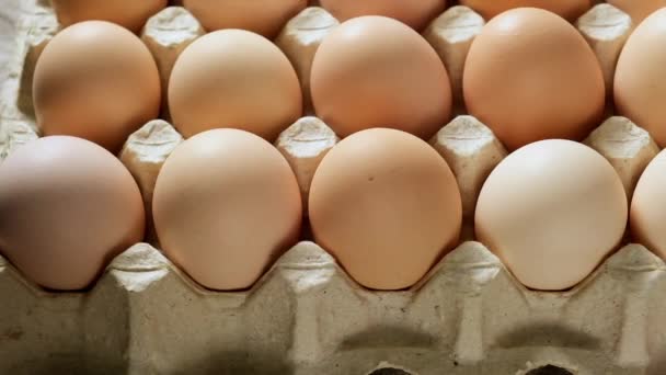 Huevos Pollo Frescos Enteros Una Bandeja Papel Cerca — Vídeos de Stock
